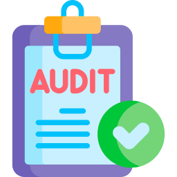 Audit Icon